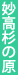 妙高杉ノ原